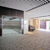 Sematic 2000 B-G landing door - Image 4